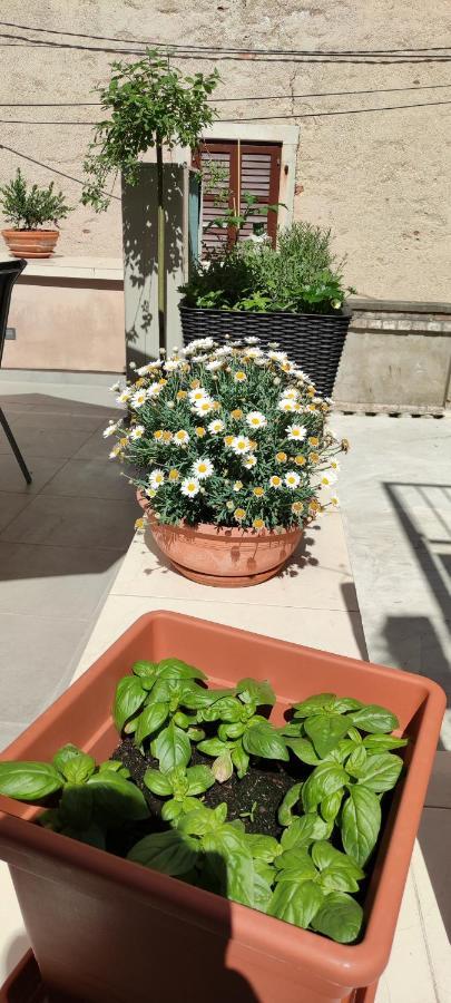Luxury Apartment - Old Soul With A New Heart Cres Esterno foto
