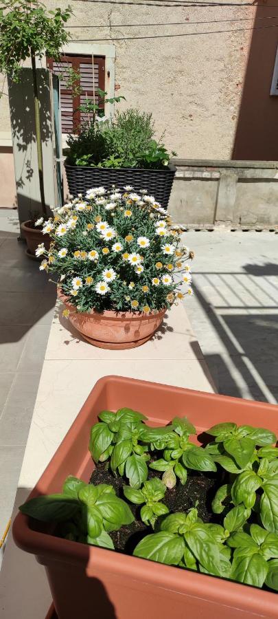 Luxury Apartment - Old Soul With A New Heart Cres Esterno foto